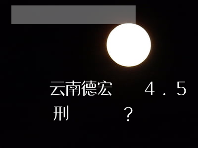 云南德宏銷毀4.5噸毒品  販毒多少會判死刑？